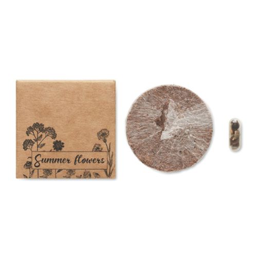 Mini grow kit - Image 2